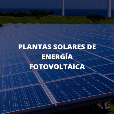 plantas